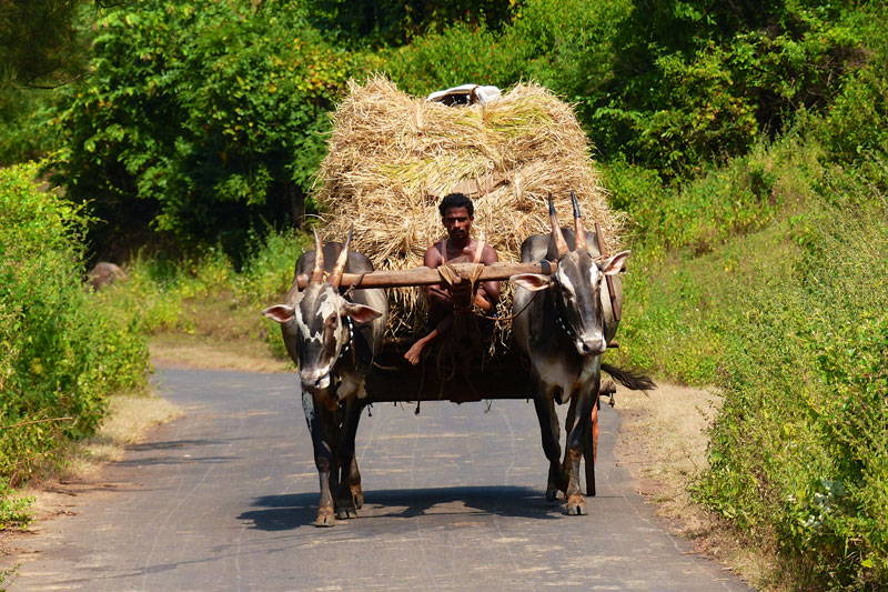 India